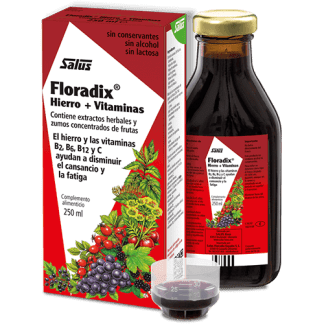 FLORADIX 250 ML SALUS